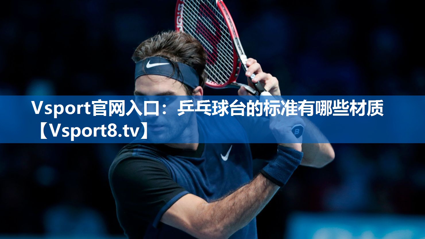 Vsport官网入口：乒乓球台的标准有哪些材质