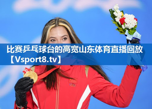 比赛乒乓球台的高宽山东体育直播回放