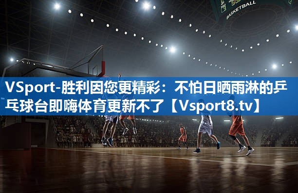VSport-胜利因您更精彩：不怕日晒雨淋的乒乓球台即嗨体育更新不了