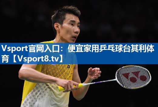 Vsport官网入口：便宜家用乒乓球台其利体育