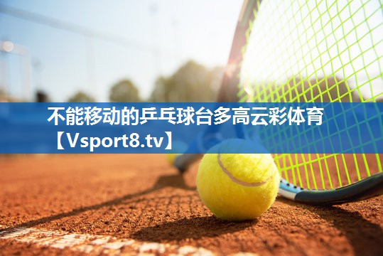 不能移动的乒乓球台多高云彩体育
