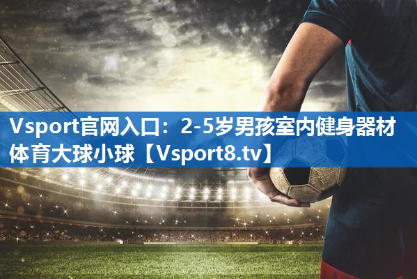 Vsport官网入口：2-5岁男孩室内健身器材体育大球小球