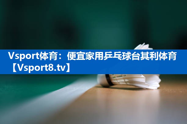 Vsport体育：便宜家用乒乓球台其利体育