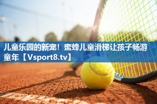 儿童乐园的新宠！蜜蜂儿童滑梯让孩子畅游童年