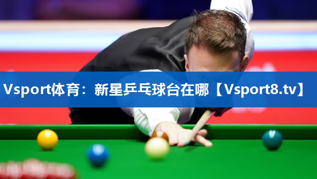 新星乒乓球台在哪 新星乒乓球台在哪