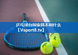 乒乓球台叫家具不叫什么 乒乓球台叫家具不叫什么