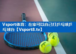 在家可以自己打乒乓球乒乓球台 在家可以自己打乒乓球乒乓球台