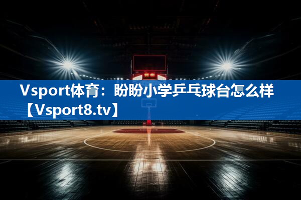 盼盼小学乒乓球台怎么样 盼盼小学乒乓球台怎么样