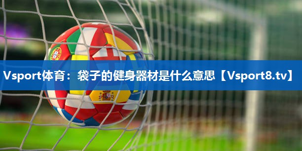 袋子的健身器材是什么意思 袋子的健身器材是什么意思