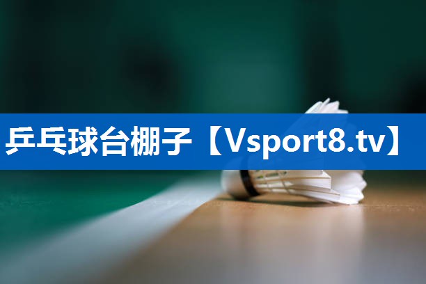 乒乓球台棚子 乒乓球台棚子