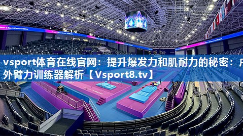 提升爆发力和肌耐力的秘密:户外臂力训练器解析 提升爆发力和肌耐力的秘密:户外臂力训练器解析