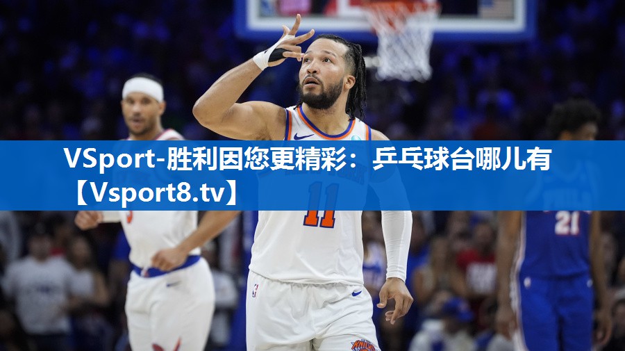 乒乓球台哪儿有 乒乓球台哪儿有