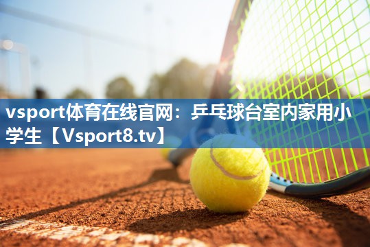 乒乓球台室内家用小学生 乒乓球台室内家用小学生